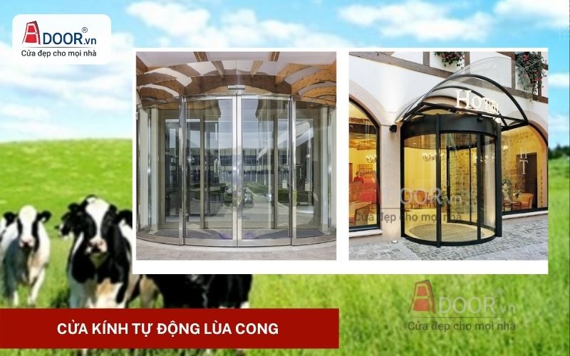 Cửa kính tự động Long Thành lùa cong nghệ thuật 