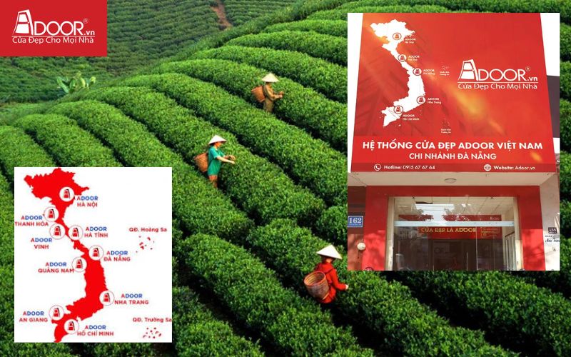 Showroom Adoor - Cửa cổng tự động Thái Nguyên Showroom Adoor - Cửa cổng tự động Thái Nguyên