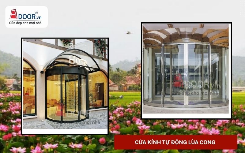 Cửa kính tự động Sa Đéc lùa cong nghệ thuật Cửa kính tự động Sa Đéc lùa cong nghệ thuật