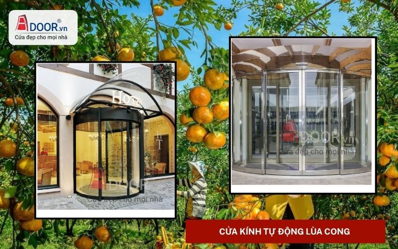 Cửa kính tự động Lai Vung lùa cong Cửa kính tự động Lai Vung lùa cong