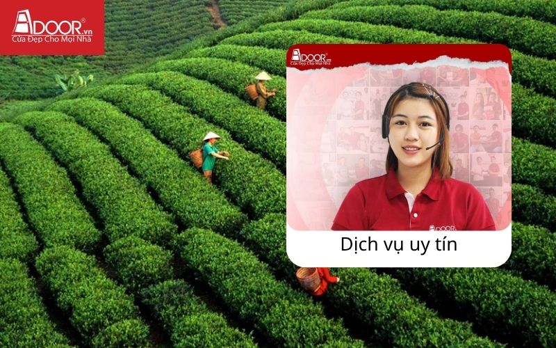 Phục vụ 24/7 - Cửa cổng tự động Thái Nguyên Phục vụ 24/7 - Cửa cổng tự động Thái Nguyên