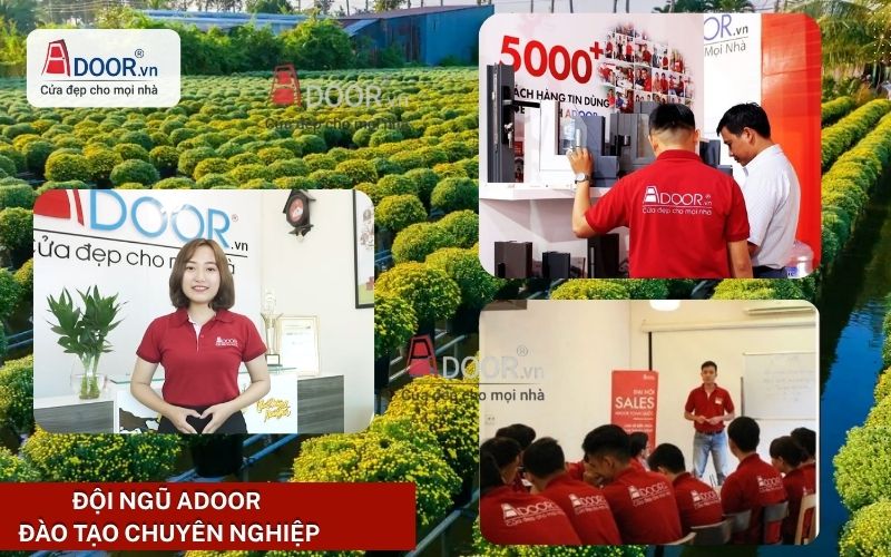 Đội ngũ Adoor chuyên nghiệp Đội ngũ Adoor chuyên nghiệp