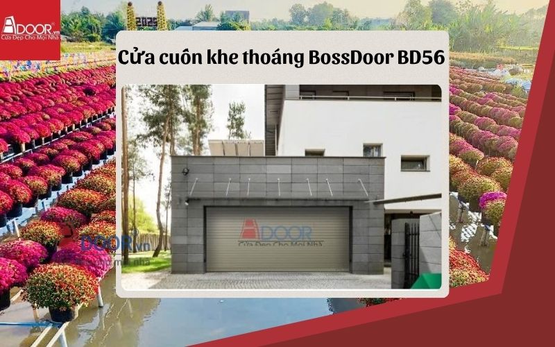 cửa cuốn khe thoáng Sa Đéc BossDoor BD56