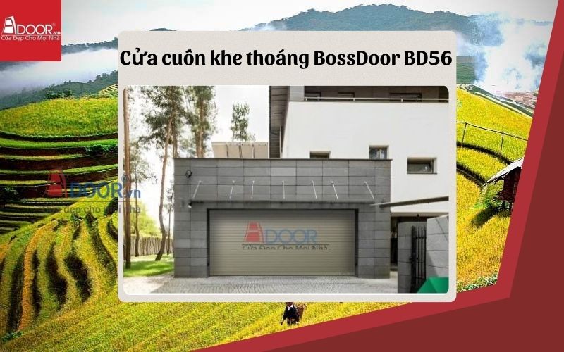 cửa cuốn khe thoáng Yên Bái BossDoor BD56