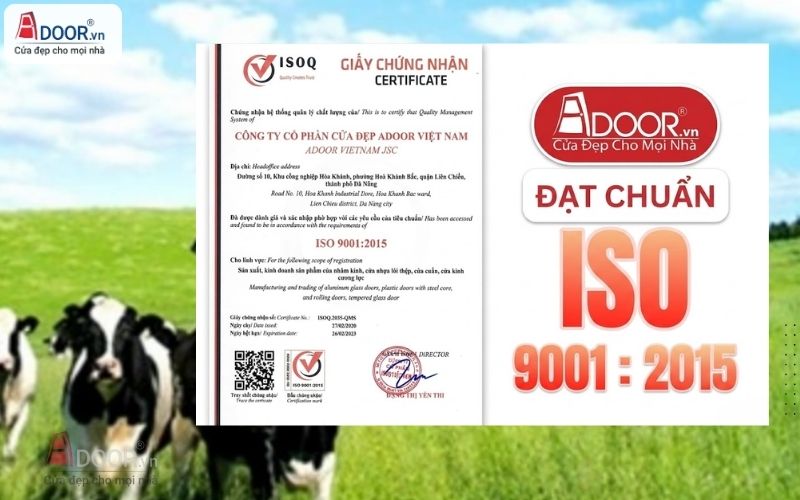Bộ chứng từ hải quan chất lượng Adoor