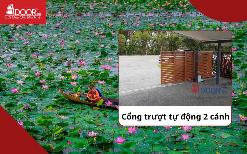 Cổng trượt 2 cánh - Cửa cổng tự động Đồng Tháp