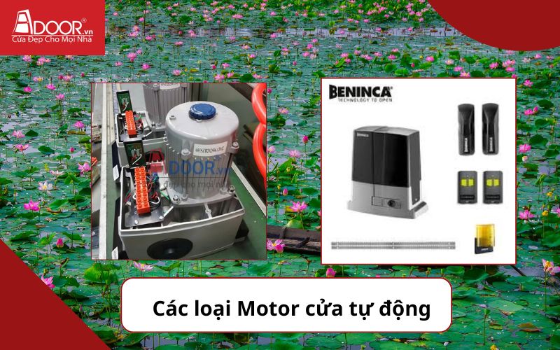 Motor ảnh 2 - Cửa cổng tự động Đồng Tháp