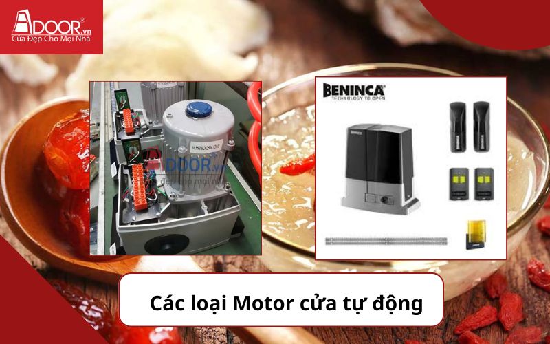 Motor ảnh 1 - Cửa cổng tự động Khánh Hòa