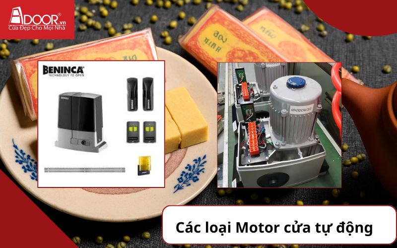 Motor - Cửa cổng tự động Hải Dương 