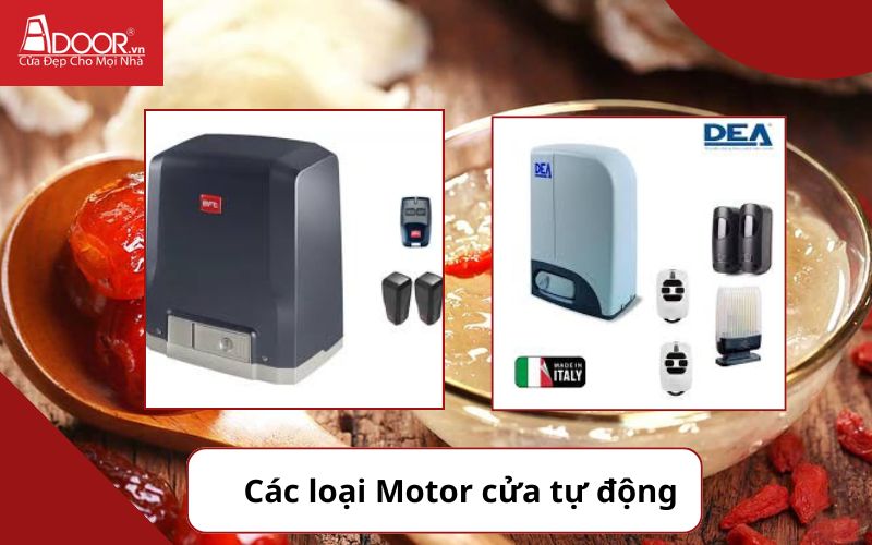 Motor ảnh 2 - Cửa cổng tự động Khánh Hòa