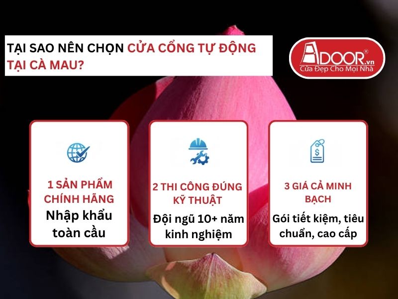Lợi thế vượt trội của Adoor mang lại cho khách hàng Cửa Cổng Tự Động Adoor tại Cà Mau
