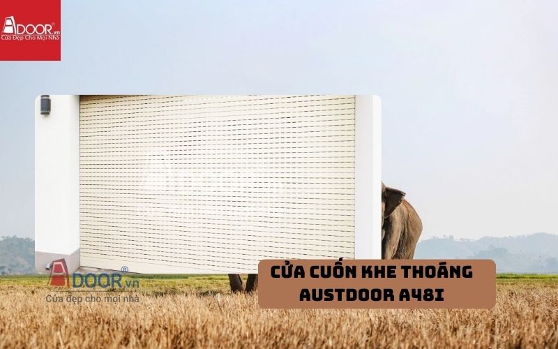 Cửa cuốn khe thoáng Buôn Ma Thuột Austdoor A48i