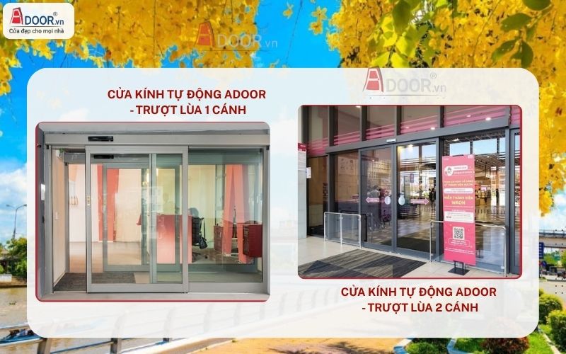 Cửa kính tự động trượt lùa 1 - 2 cánh