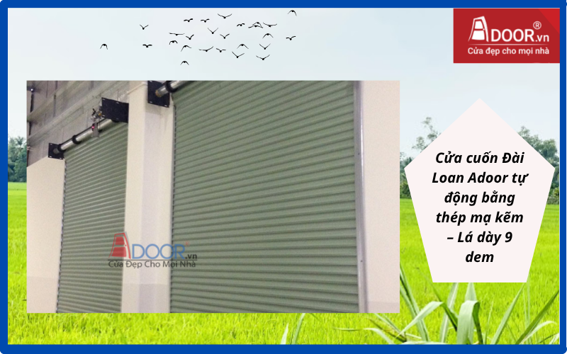 cửa cuốn Đài Loan Đồng Tháp