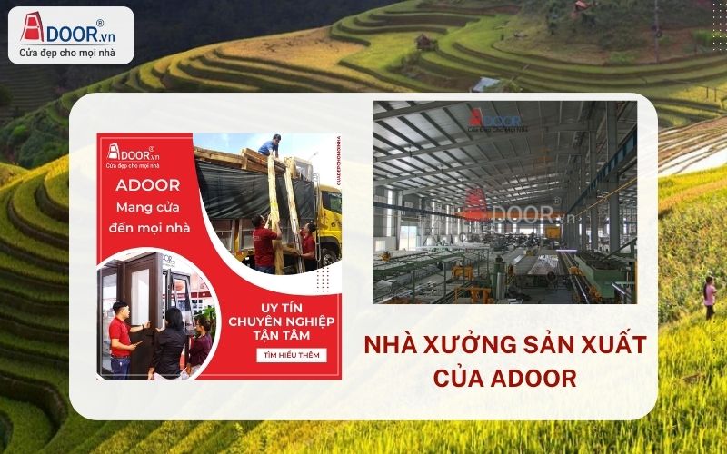 Nhà máy sản xuất quy mô lớn Adoor