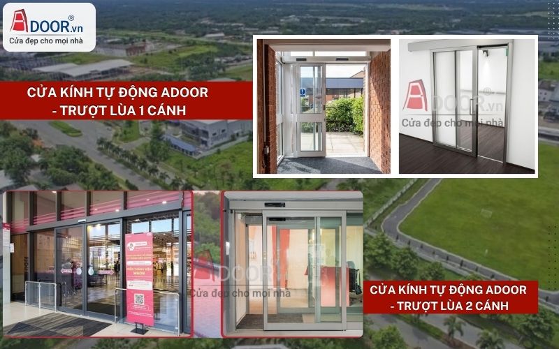 Cửa kính tự động Dầu Giây trượt lùa 1 – 2 cánh Adoor