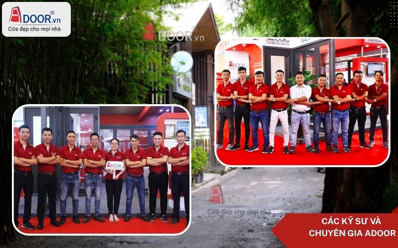 Chuyên gia Adoor nhiều kinh nghiệm