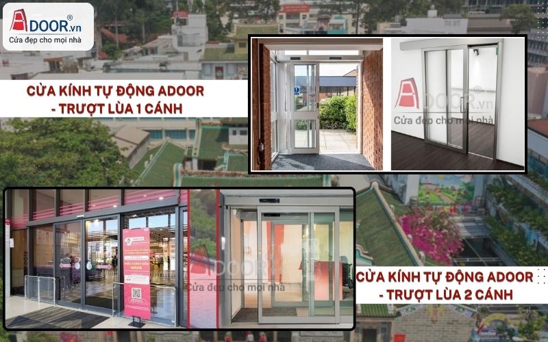 Cửa kính trượt lùa tự động 1 hoặc 2 cánh Adoor 