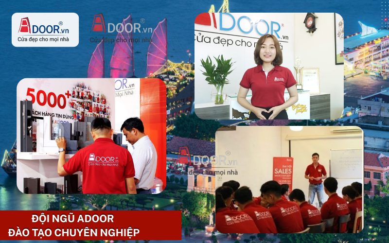 Đội Ngũ Adoor Chuyên Nghiệp