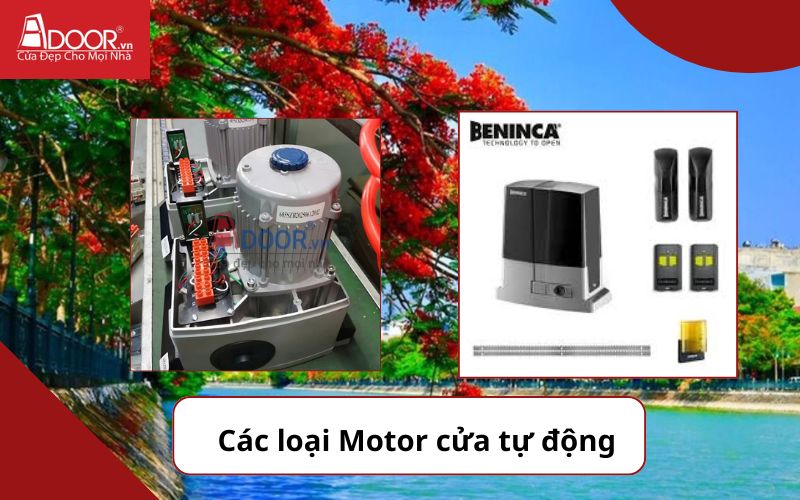 Motor ảnh 1 - Cửa cổng tự động Hải Phòng 