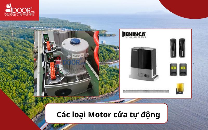 Motor ảnh 1 - Cửa cổng tự động Cà Mau
