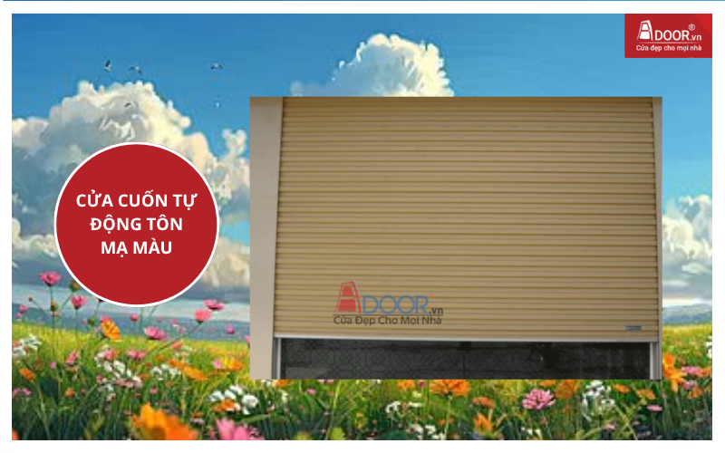 cửa cuốn tự động tôn mạ màu cửa cuốn đài loan giá bao nhiêu 1m²
